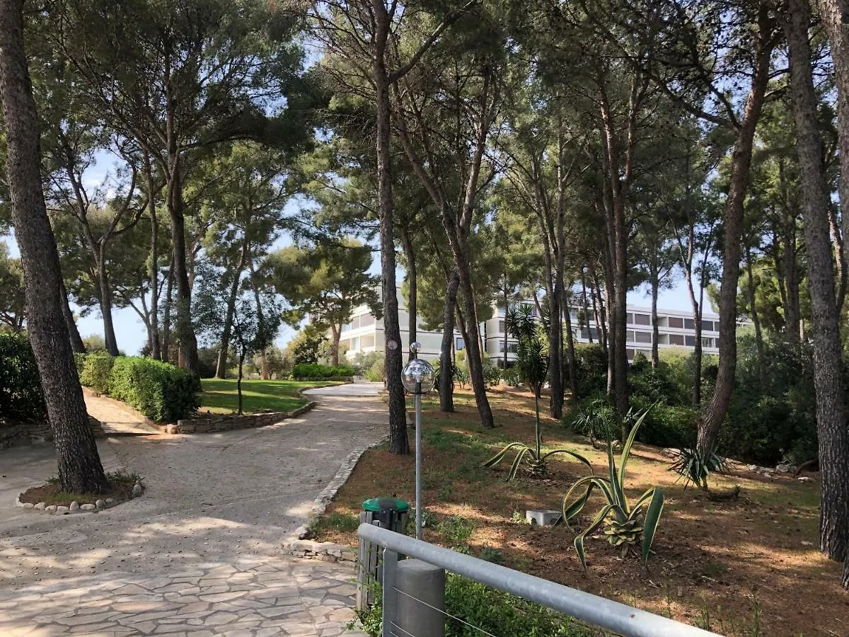 Lejlighed Appartement Residence Athena Bandol