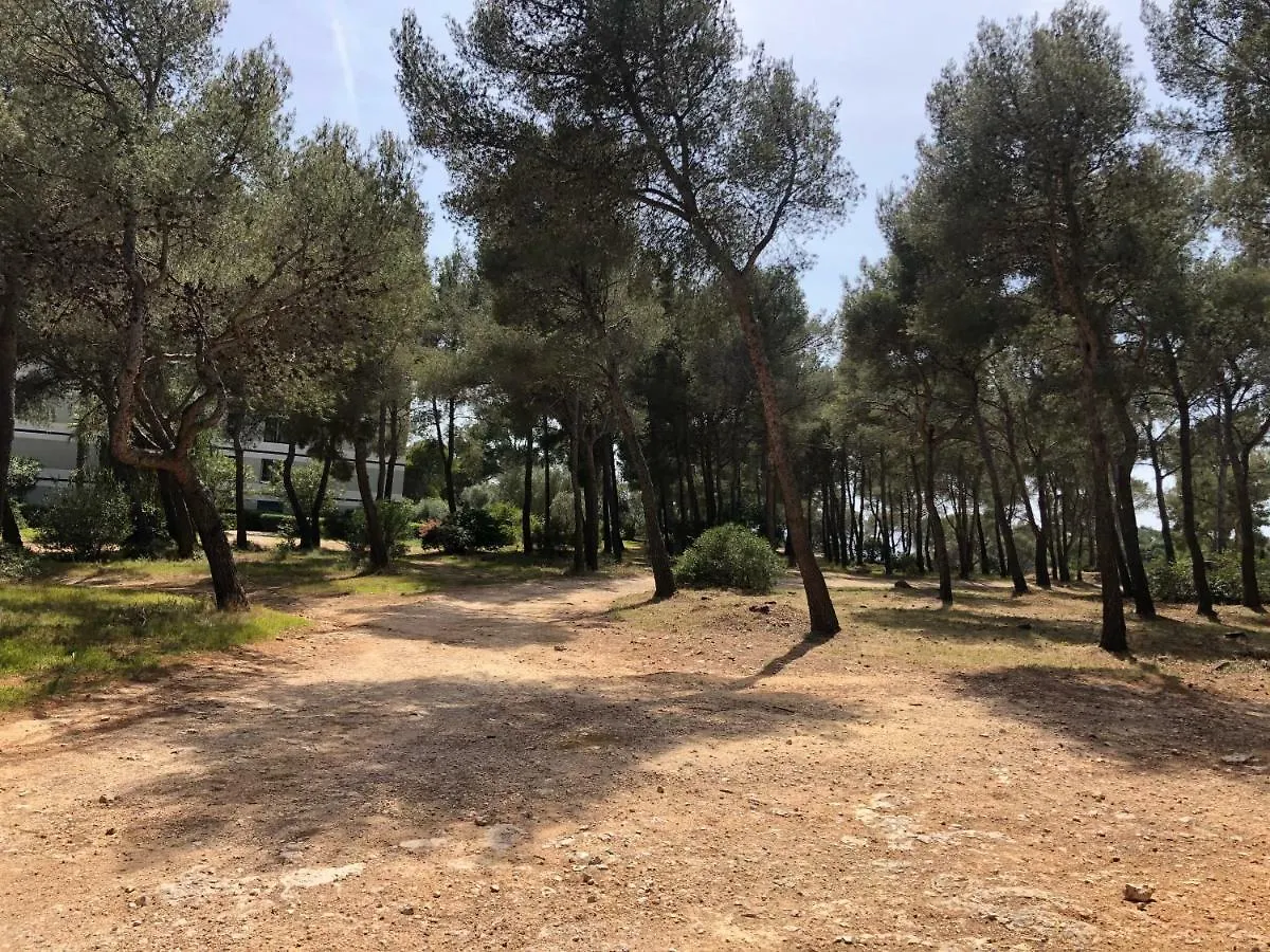 Appartement Résidence Athena BANDOL France