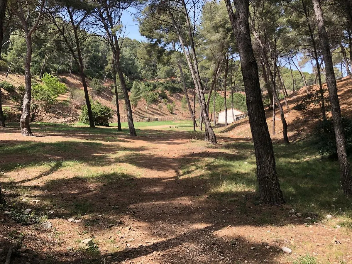 Appartement Résidence Athena BANDOL